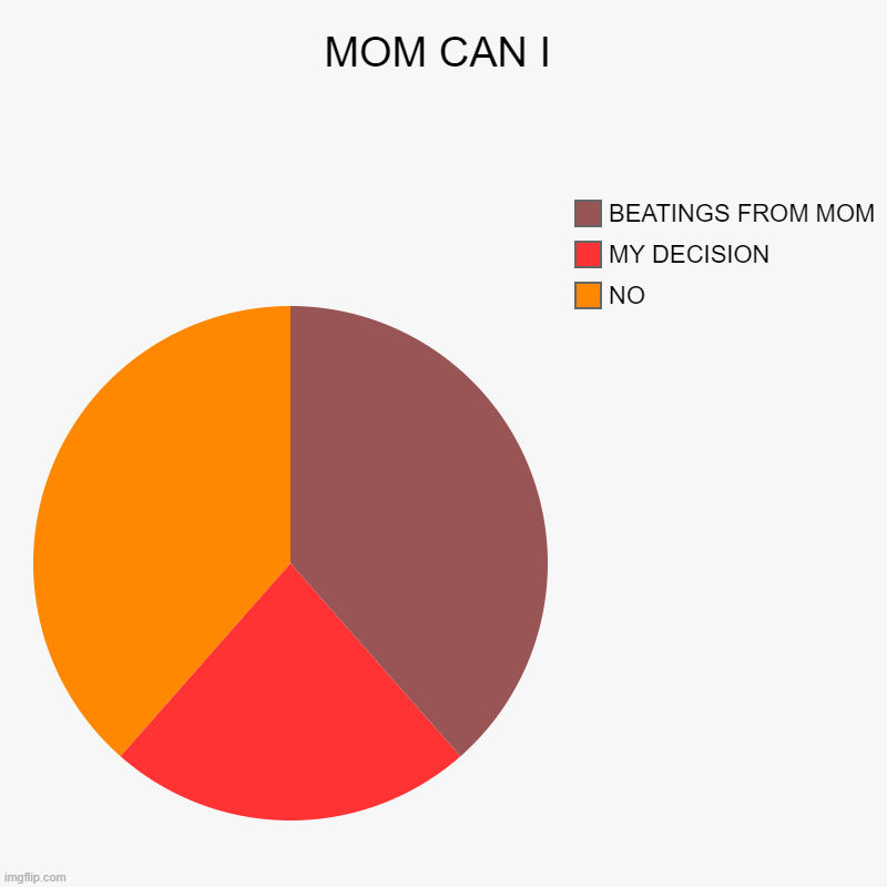 MOM CAN I | NO, MY DECISION, BEATINGS FROM MOM | image tagged in charts,pie charts | made w/ Imgflip chart maker
