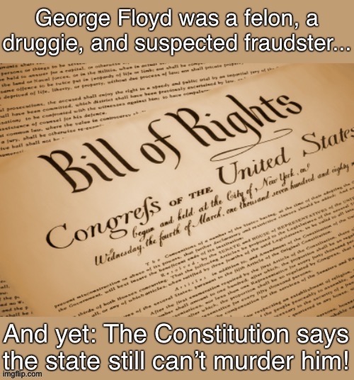 The Bill of Rights directly prohibited the police brutality and other state-backed tyranny that caused the colonies to revolt. | image tagged in george floyd,constitution,the constitution,bill of rights,conservative hypocrisy,police brutality | made w/ Imgflip meme maker