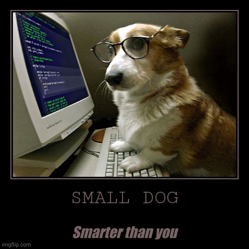 Pupper | image tagged in funny,demotivationals | made w/ Imgflip demotivational maker