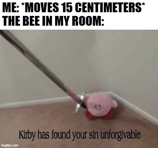 Kirby has found your sin unforgivable | ME: *MOVES 15 CENTIMETERS*
THE BEE IN MY ROOM: | image tagged in kirby has found your sin unforgivable | made w/ Imgflip meme maker