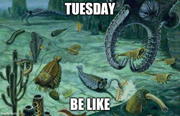 tuesday | TUESDAY; BE LIKE | image tagged in tuesday | made w/ Imgflip meme maker