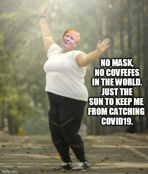 sunshine | NO MASK, NO COVFEFES IN THE WORLD. JUST THE SUN TO KEEP ME 
FROM CATCHING 
COVID19. | image tagged in sunshine,outdoors,mask,covfefe,covid19,trump | made w/ Imgflip meme maker