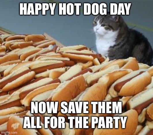 Too many hot dogs | HAPPY HOT DOG DAY; NOW SAVE THEM ALL FOR THE PARTY | image tagged in too many hot dogs | made w/ Imgflip meme maker