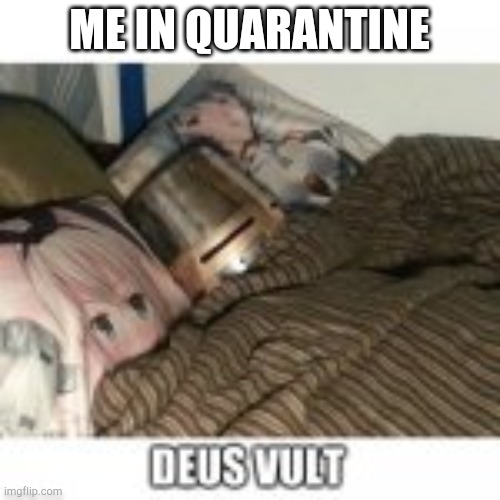 ME IN QUARANTINE | image tagged in anime,crusader,pillow | made w/ Imgflip meme maker