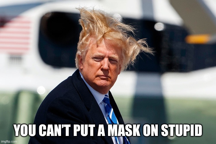 Traitor | YOU CAN’T PUT A MASK ON STUPID | image tagged in trump | made w/ Imgflip meme maker
