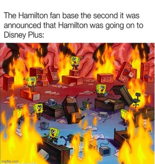 true lol | image tagged in memes,funny,repost,hamilton | made w/ Imgflip meme maker