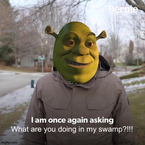 I am not in your swamp! | What are you doing in my swamp?!!! | image tagged in memes,bernie i am once again asking for your support,funny,shrek,swamp,what are you doing in my swamp | made w/ Imgflip meme maker