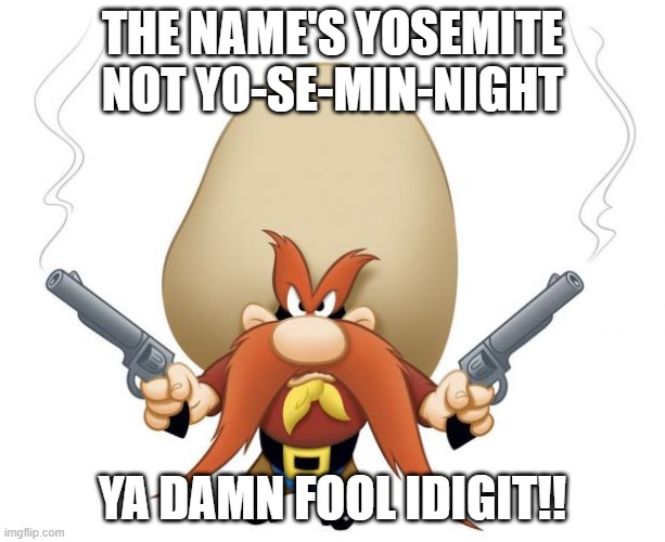 Yosemite Sam | THE NAME'S YOSEMITE NOT YO-SE-MIN-NIGHT; YA DAMN FOOL IDIGIT!! | image tagged in yosemite sam | made w/ Imgflip meme maker
