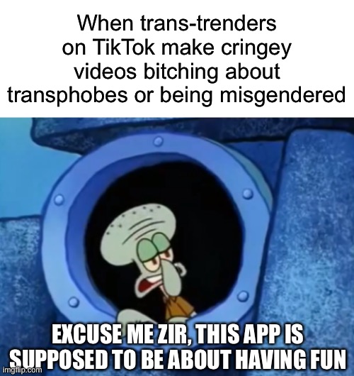 When trans-trenders on TikTok make cringey videos bitching about transphobes or being misgendered; EXCUSE ME ZIR, THIS APP IS SUPPOSED TO BE ABOUT HAVING FUN | image tagged in squidward,tiktok,transgender,having fun,app,memes | made w/ Imgflip meme maker