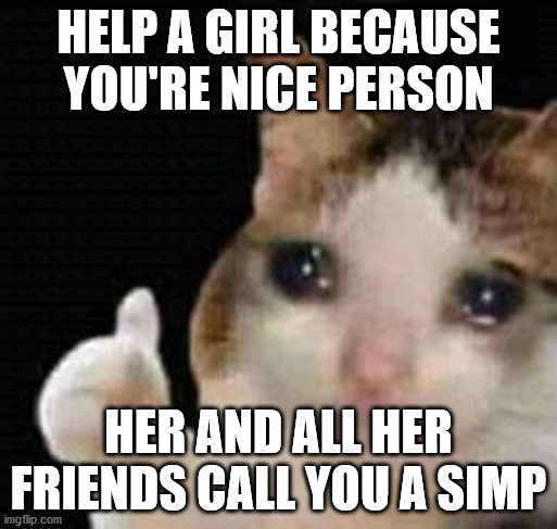 sad thumbs up cat | HELP A GIRL BECAUSE YOU'RE NICE PERSON; HER AND ALL HER FRIENDS CALL YOU A SIMP | image tagged in sad thumbs up cat | made w/ Imgflip meme maker