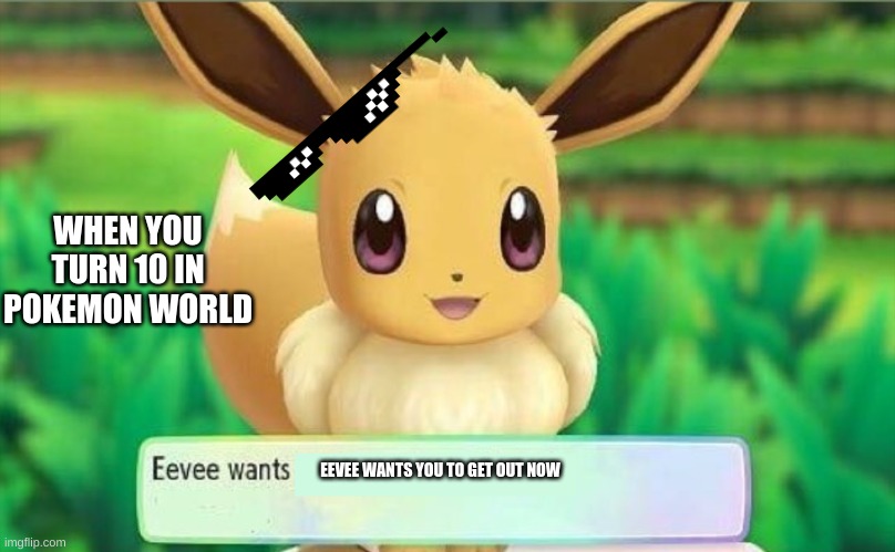 Eevee | WHEN YOU TURN 10 IN POKEMON WORLD; EEVEE WANTS YOU TO GET OUT NOW | image tagged in eevee | made w/ Imgflip meme maker