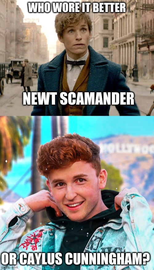 Who Wore It Better Wednesday #14 - Poofy hair | WHO WORE IT BETTER; NEWT SCAMANDER; OR CAYLUS CUNNINGHAM? | image tagged in memes,who wore it better,infinite,fantastic beasts and where to find them,youtube,warner bros | made w/ Imgflip meme maker