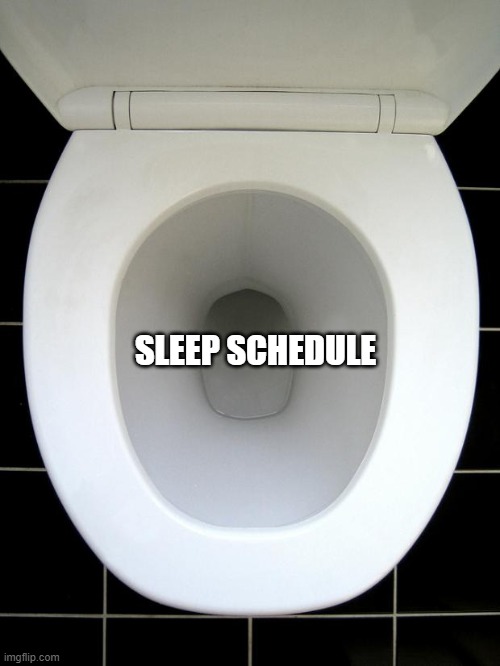 TOILET | SLEEP SCHEDULE | image tagged in toilet | made w/ Imgflip meme maker