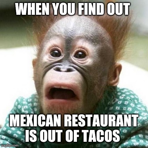 Monkey taco | WHEN YOU FIND OUT; MEXICAN RESTAURANT IS OUT OF TACOS | image tagged in shocked monkey | made w/ Imgflip meme maker