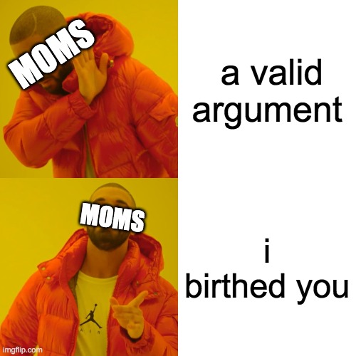 how do i make a shruggie | a valid argument; MOMS; MOMS; i birthed you | image tagged in memes,drake hotline bling | made w/ Imgflip meme maker