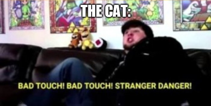 Jontron bad touch | THE CAT: | image tagged in jontron bad touch | made w/ Imgflip meme maker