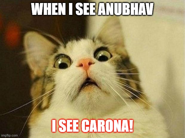 Scared Cat Meme | WHEN I SEE ANUBHAV; I SEE CARONA! | image tagged in memes,scared cat | made w/ Imgflip meme maker