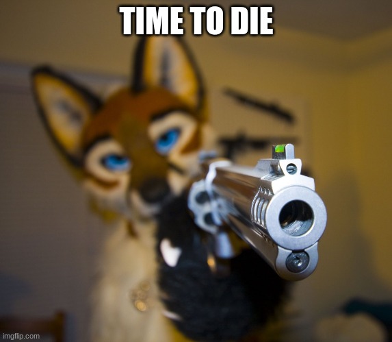 Furry with gun | TIME TO DIE | image tagged in furry with gun | made w/ Imgflip meme maker