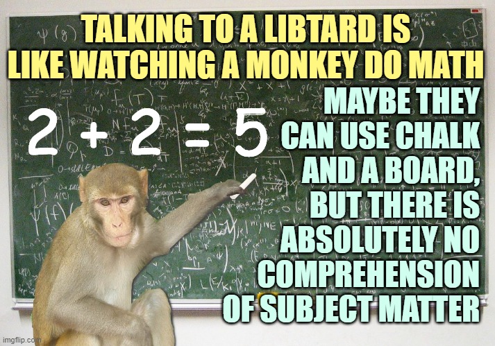 Libtard Logic | MAYBE THEY CAN USE CHALK AND A BOARD, BUT THERE IS ABSOLUTELY NO COMPREHENSION OF SUBJECT MATTER; TALKING TO A LIBTARD IS LIKE WATCHING A MONKEY DO MATH; 2 + 2 = 5 | image tagged in libtards | made w/ Imgflip meme maker