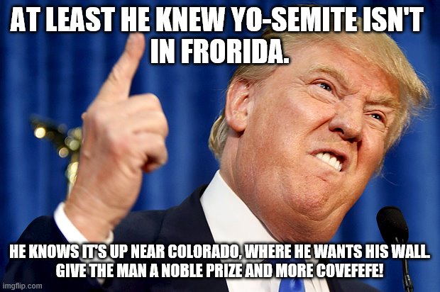 Trump Yo-Semite Frorida | AT LEAST HE KNEW YO-SEMITE ISN'T 
IN FRORIDA. HE KNOWS IT'S UP NEAR COLORADO, WHERE HE WANTS HIS WALL.
GIVE THE MAN A NOBLE PRIZE AND MORE COVEFEFE! | image tagged in donald trump | made w/ Imgflip meme maker