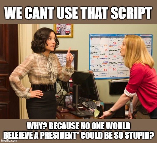 Veep | WE CANT USE THAT SCRIPT WHY? BECAUSE NO ONE WOULD BELEIEVE A PRESIDENT* COULD BE SO STUPID? | image tagged in veep | made w/ Imgflip meme maker