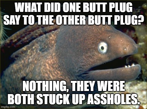 Bad Joke Eel Meme | WHAT DID ONE BUTT PLUG SAY TO THE OTHER BUTT PLUG? NOTHING, THEY WERE BOTH STUCK UP ASSHOLES. | image tagged in memes,bad joke eel | made w/ Imgflip meme maker