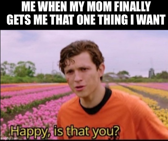 Don’t mind me making another great meme template for everybody | ME WHEN MY MOM FINALLY GETS ME THAT ONE THING I WANT | image tagged in happy is that you,funny memes,memes,spiderman,lego sets,pop figures | made w/ Imgflip meme maker