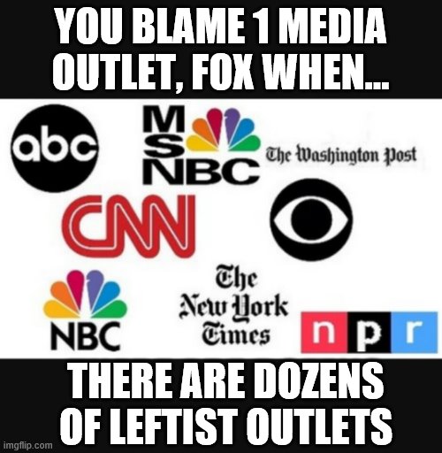 Love the libs who attack Fox and they have many outlets to watch. | YOU BLAME 1 MEDIA OUTLET, FOX WHEN... THERE ARE DOZENS OF LEFTIST OUTLETS | image tagged in media lies,political meme | made w/ Imgflip meme maker