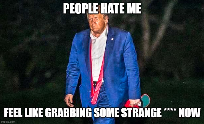 Defeated Trump Meme | PEOPLE HATE ME FEEL LIKE GRABBING SOME STRANGE **** NOW | image tagged in defeated trump meme | made w/ Imgflip meme maker