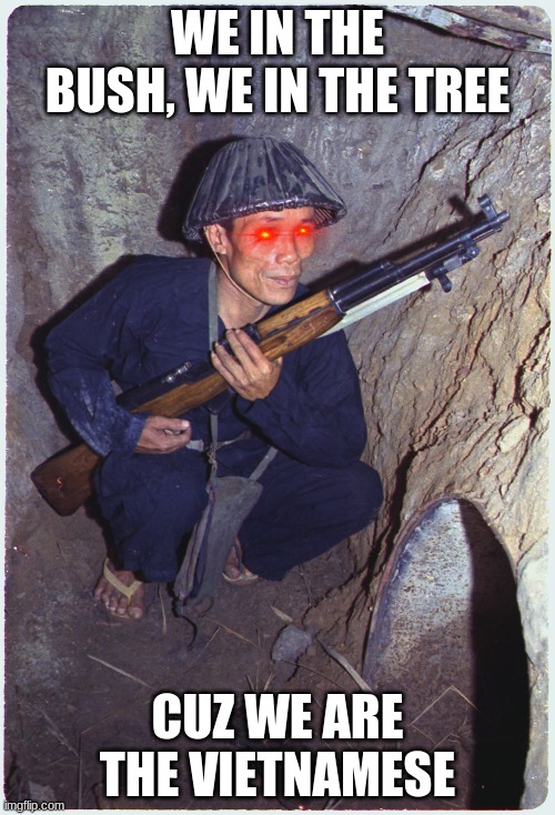 Vietcong Soilder | WE IN THE BUSH, WE IN THE TREE; CUZ WE ARE THE VIETNAMESE | image tagged in vietcong soilder | made w/ Imgflip meme maker