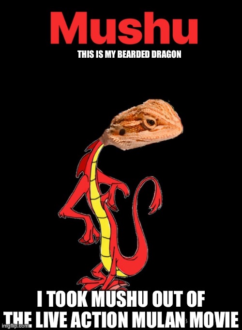 Mulans Mushu | THIS IS MY BEARDED DRAGON; I TOOK MUSHU OUT OF THE LIVE ACTION MULAN MOVIE | image tagged in mulan,funny | made w/ Imgflip meme maker