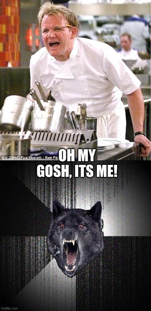 gordon ramsay memes | OH MY GOSH, ITS ME! | image tagged in memes,chef gordon ramsay | made w/ Imgflip meme maker