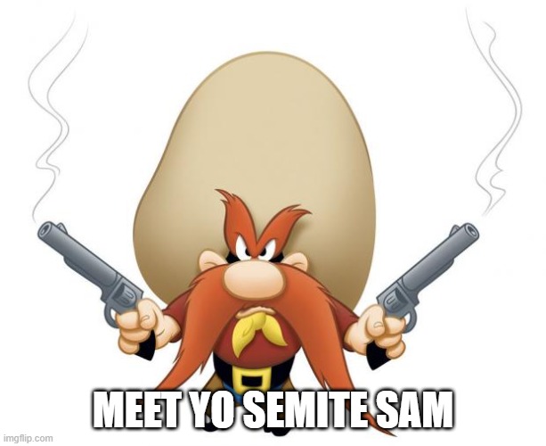 Yosemite Sam | MEET YO SEMITE SAM | image tagged in yosemite sam | made w/ Imgflip meme maker