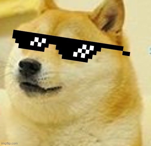 Cool Doge | image tagged in doge,cool,funny meme | made w/ Imgflip meme maker