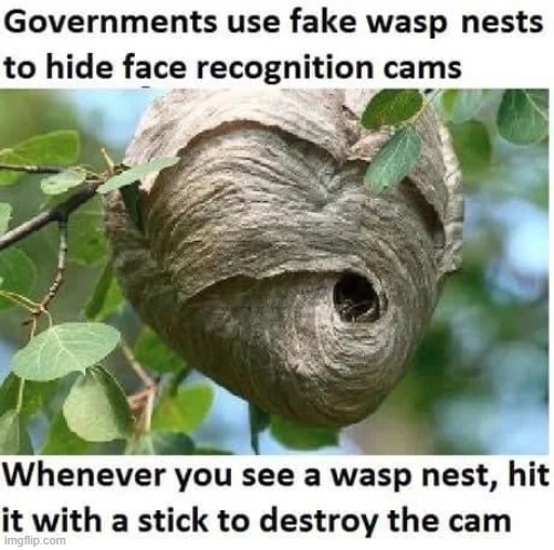 try this at home maga | image tagged in conspiracy theories,conspiracy theory,maga,sarcasm,sarcastic,wasp | made w/ Imgflip meme maker