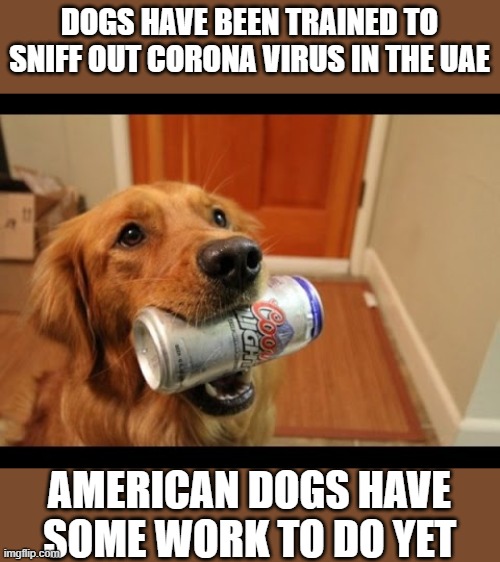 No fido, "Corona" | DOGS HAVE BEEN TRAINED TO SNIFF OUT CORONA VIRUS IN THE UAE; AMERICAN DOGS HAVE SOME WORK TO DO YET | image tagged in memes,dogs,fun,coronavirus | made w/ Imgflip meme maker
