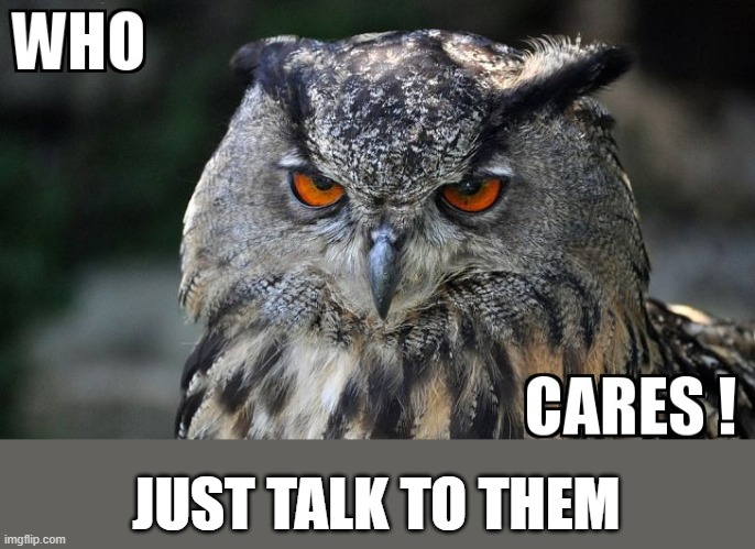 who cares | JUST TALK TO THEM | image tagged in who cares | made w/ Imgflip meme maker