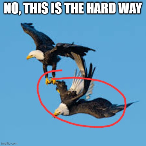 NO, THIS IS THE HARD WAY | made w/ Imgflip meme maker