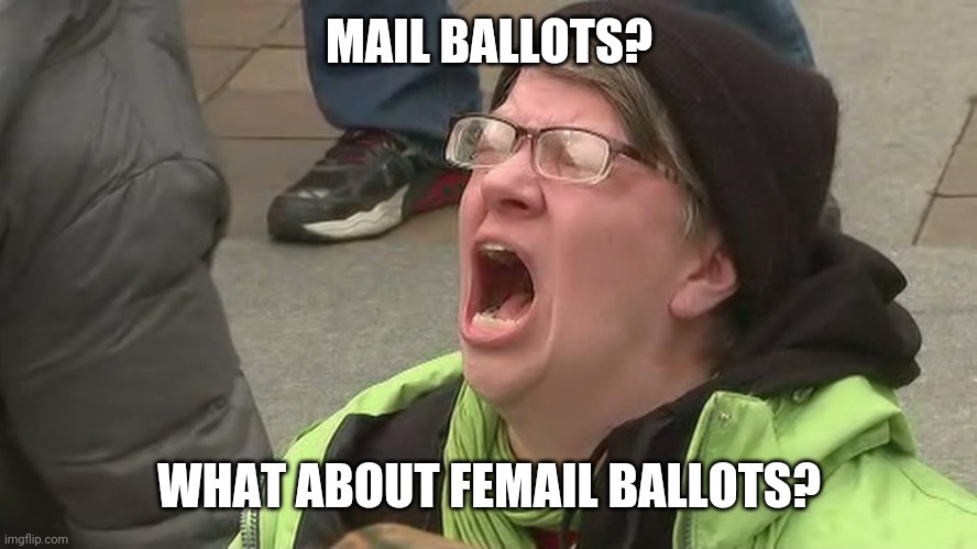 Vote by male! | MAIL BALLOTS? WHAT ABOUT FEMAIL BALLOTS? | image tagged in love thy neighbor | made w/ Imgflip meme maker