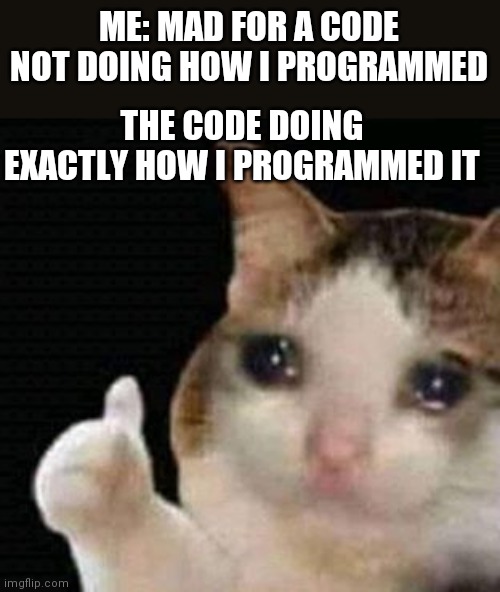 sad thumbs up cat | ME: MAD FOR A CODE NOT DOING HOW I PROGRAMMED; THE CODE DOING EXACTLY HOW I PROGRAMMED IT | image tagged in sad thumbs up cat | made w/ Imgflip meme maker
