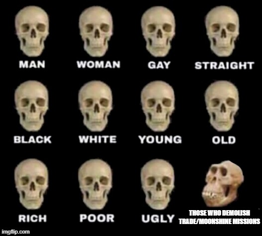 idiot skull | THOSE WHO DEMOLISH TRADE/MOONSHINE MISSIONS | image tagged in idiot skull | made w/ Imgflip meme maker