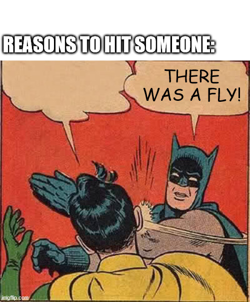Batman Slapping Robin Meme | REASONS TO HIT SOMEONE:; THERE WAS A FLY! | image tagged in memes,batman slapping robin | made w/ Imgflip meme maker