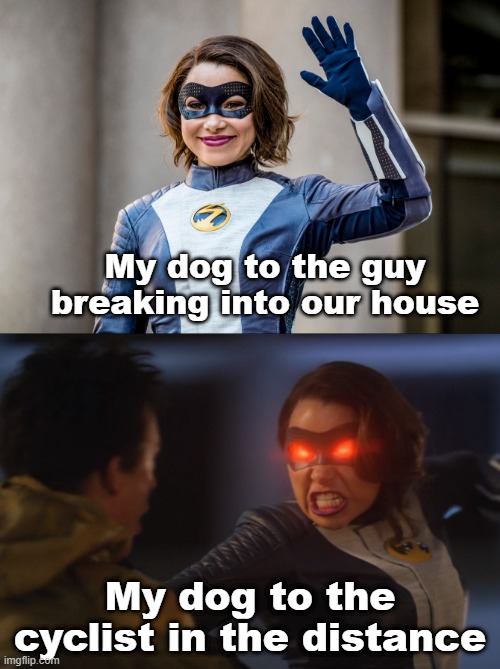Nothing to See Here | My dog to the guy breaking into our house; My dog to the cyclist in the distance | image tagged in home security | made w/ Imgflip meme maker