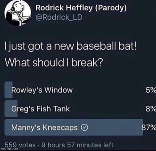rodrick poll | image tagged in funny,memes,fun,lol,oh wow are you actually reading these tags | made w/ Imgflip meme maker
