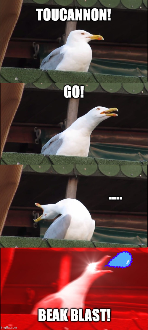 Inhaling Seagull | TOUCANNON! GO! ..... BEAK BLAST! | image tagged in memes,inhaling seagull | made w/ Imgflip meme maker