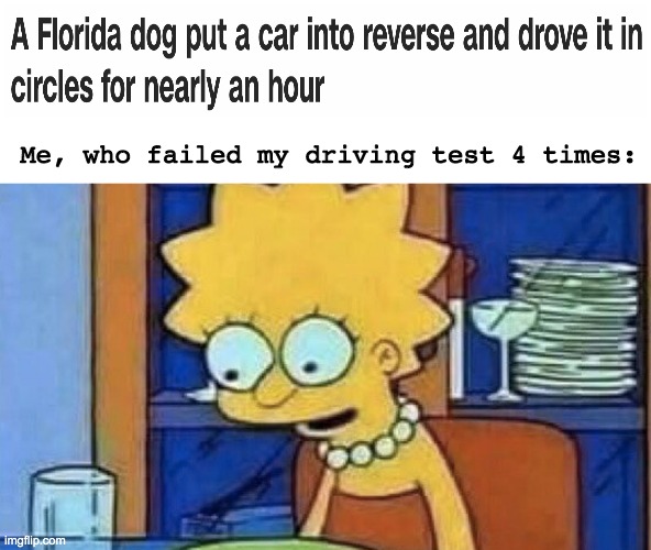 Florida doesn't have good boys. Only BEST BOYS | Me, who failed my driving test 4 times: | image tagged in lisa simpson dinner,florida dog | made w/ Imgflip meme maker