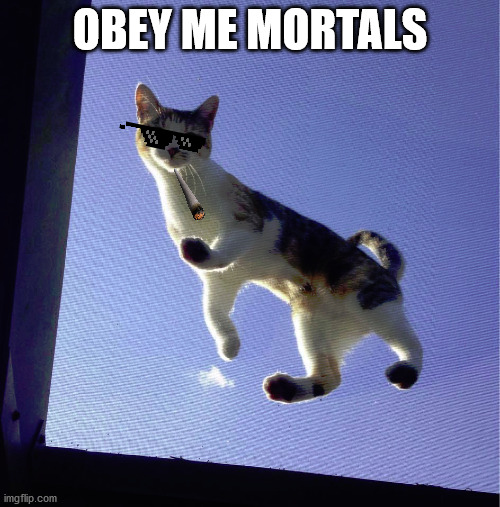 OBEY ME MORTALS | image tagged in cats | made w/ Imgflip meme maker