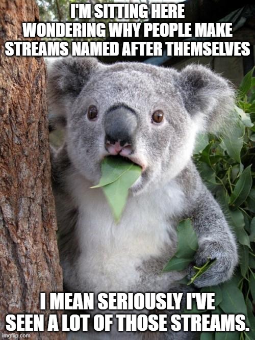 Surprised Koala Meme | I'M SITTING HERE WONDERING WHY PEOPLE MAKE STREAMS NAMED AFTER THEMSELVES; I MEAN SERIOUSLY I'VE SEEN A LOT OF THOSE STREAMS. | image tagged in memes,surprised koala | made w/ Imgflip meme maker