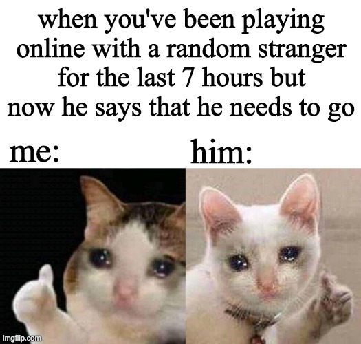 the boys online | when you've been playing online with a random stranger for the last 7 hours but now he says that he needs to go; me:; him: | image tagged in blank white template,the boys,sad cat,online,funny | made w/ Imgflip meme maker