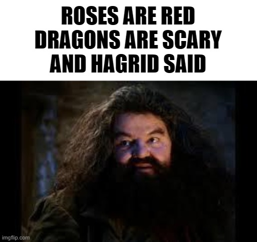 if u dont get this one, i dont believe you are a potterhead | ROSES ARE RED
DRAGONS ARE SCARY
AND HAGRID SAID | image tagged in hagrid yer a wizard | made w/ Imgflip meme maker